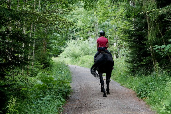 Où séjourner pour des vacances en Normandie avec des balades à cheval et des ateliers de cuisine?